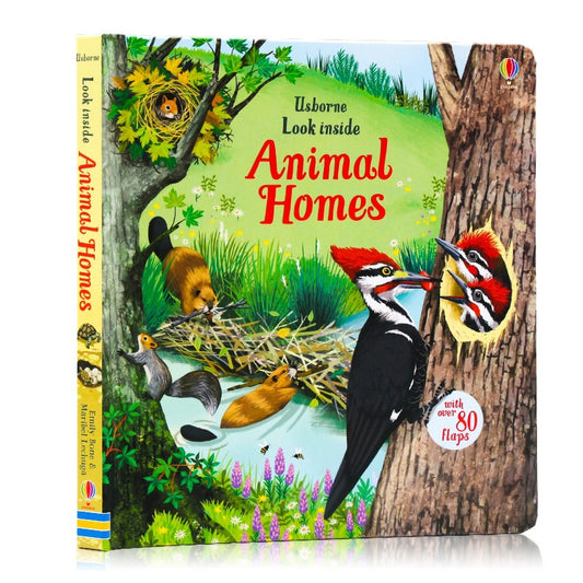 Children's Early Education Picture Books