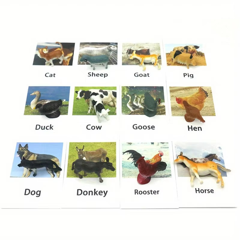 Montessori Animal Matching Card