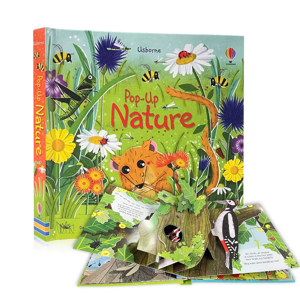 Usborne Pop-Up 3D Picture Book 