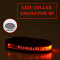 Personalized Pet Glow Collar 