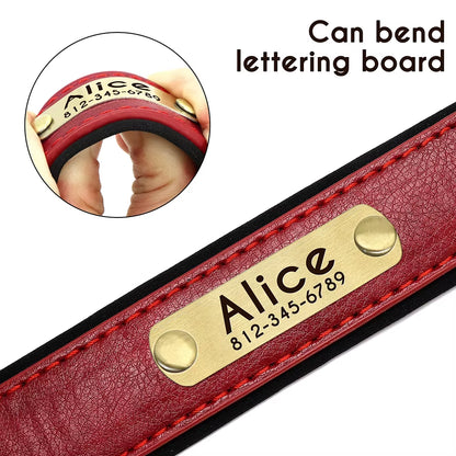 Customized Leather Soft Padded Dog Collar -Leash  with Free Engraved Nameplate