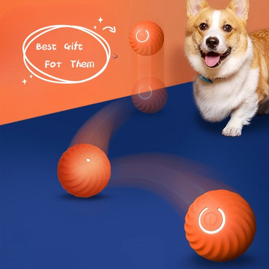 Pet  Rubber Ball Toys 