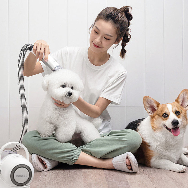 Pet Grooming Device Set 
