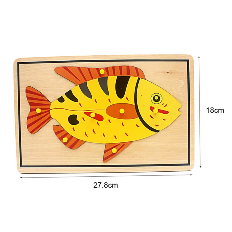 Montessori Children Biology Wooden Materials 