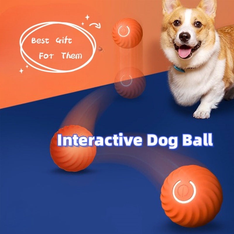 Pet  Rubber Ball Toys 