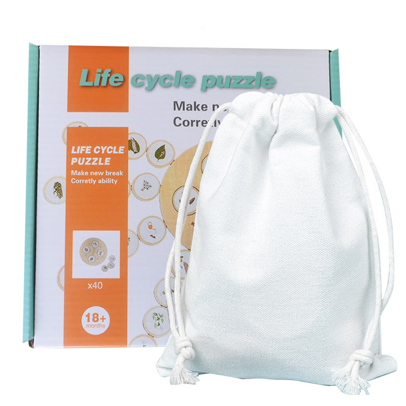 Children'S Cognitive Enlightenment Insect Animal Life Growth Cycle Educational Toys
