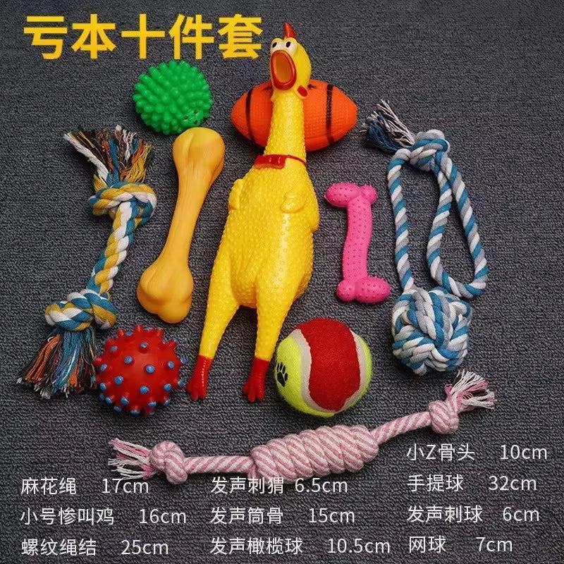 Plush Pet  Play Kit