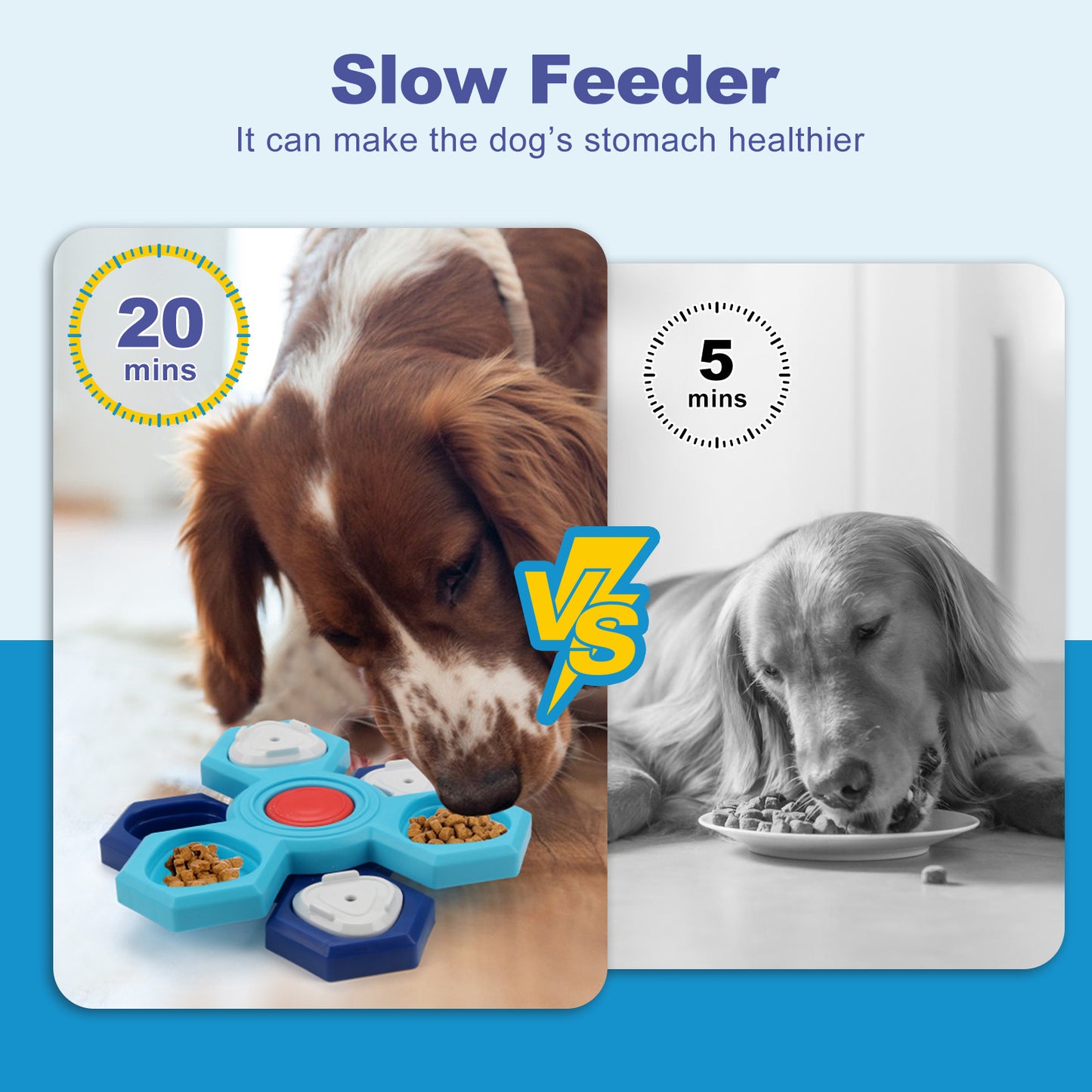 4 Layers Slow Feeder Pet Puzzle Bowl