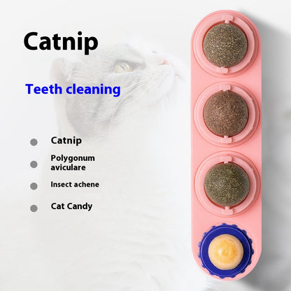 Cat Toy Snack