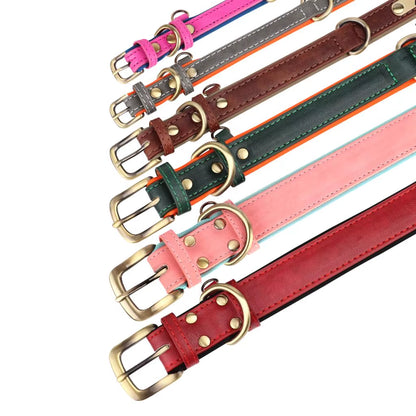 Customized Leather Soft Padded Dog Collar -Leash  with Free Engraved Nameplate