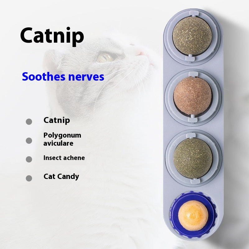 Cat Toy Snack