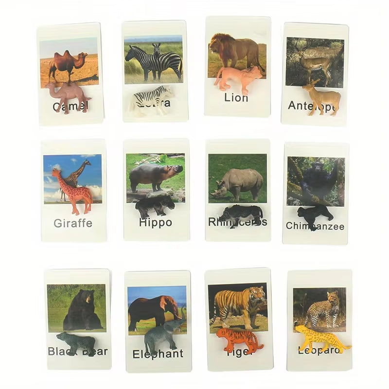 Montessori Animal Matching Card