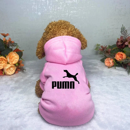 Casual Warm Popular Fashion Hoodie Pet Clothes  