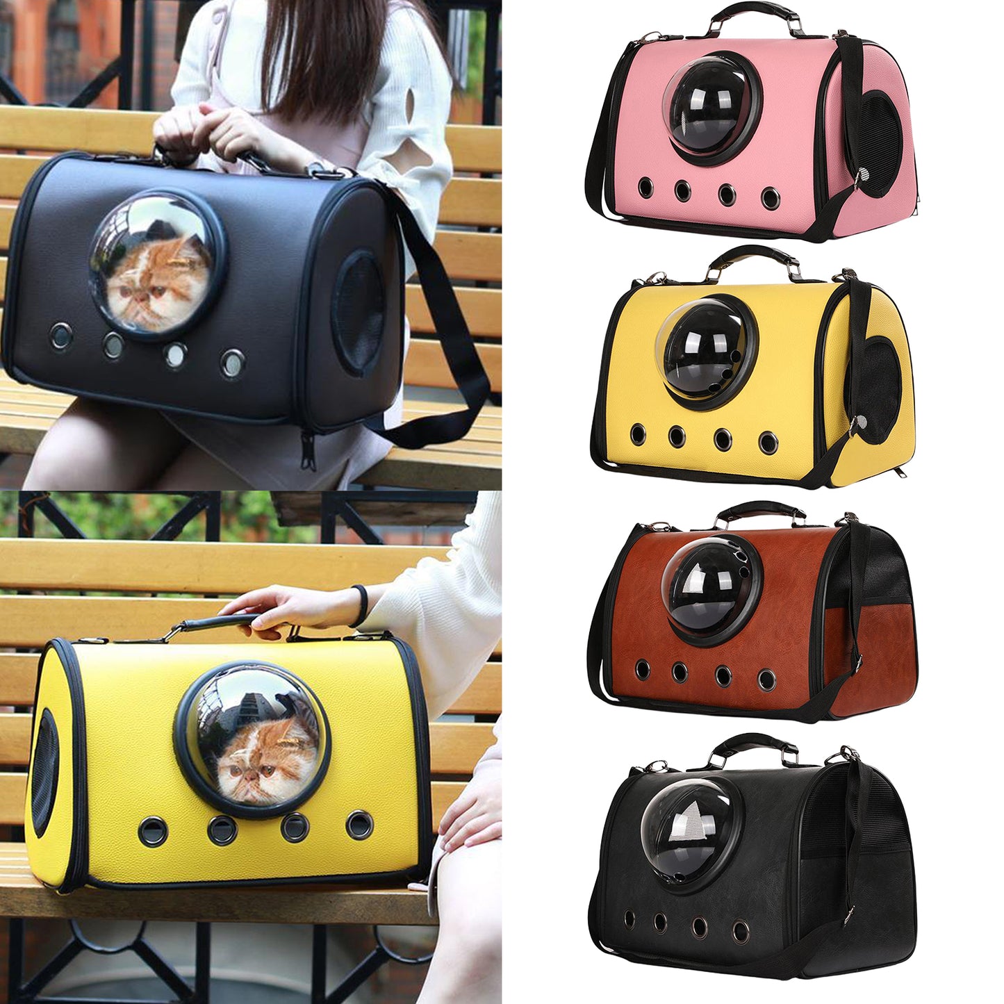 Small Pet Carrier 