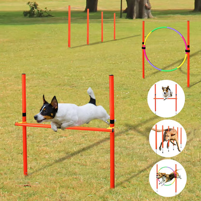 Outdoor Dog Obstacle Training Set 