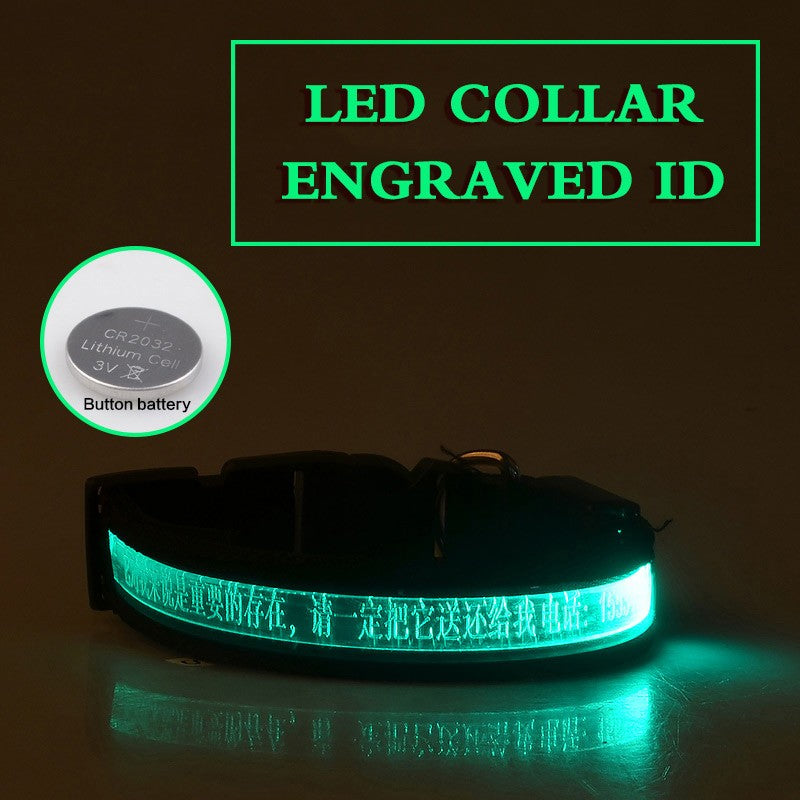 Personalized Pet Glow Collar 