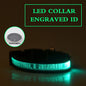 Personalized Pet Glow Collar 