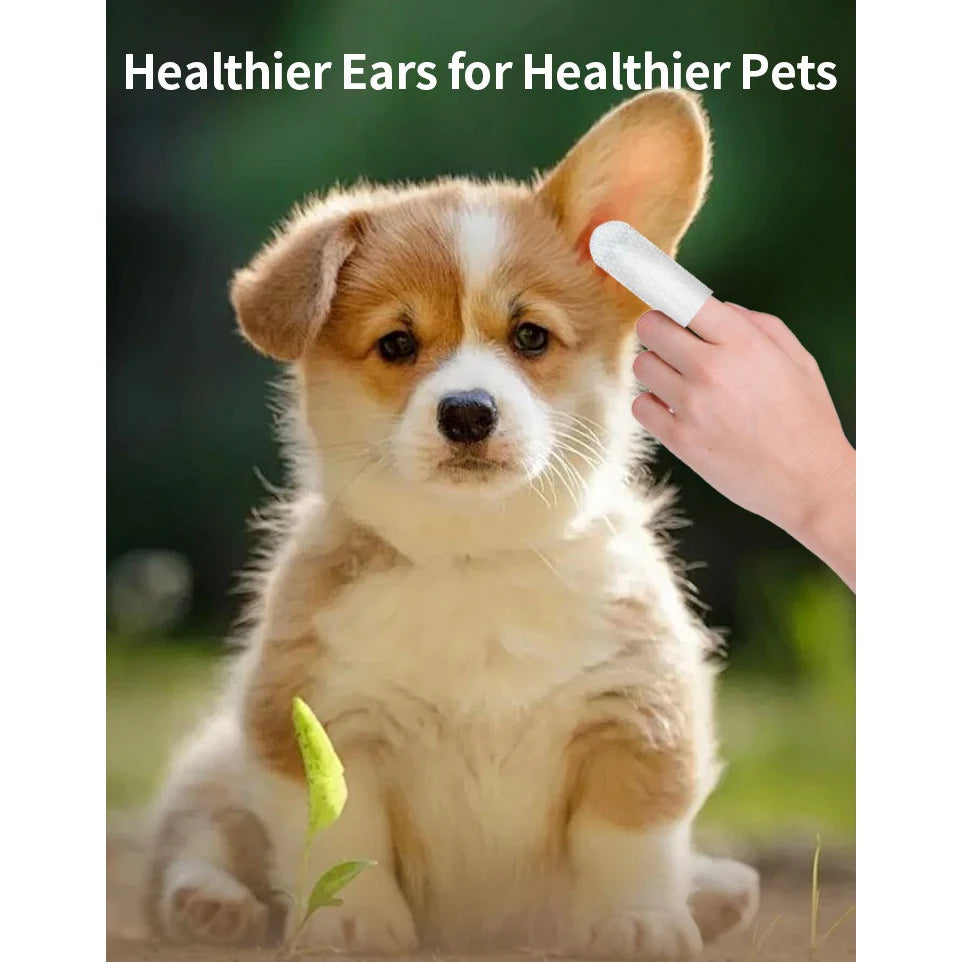 Pet Eye & Ear Wipes