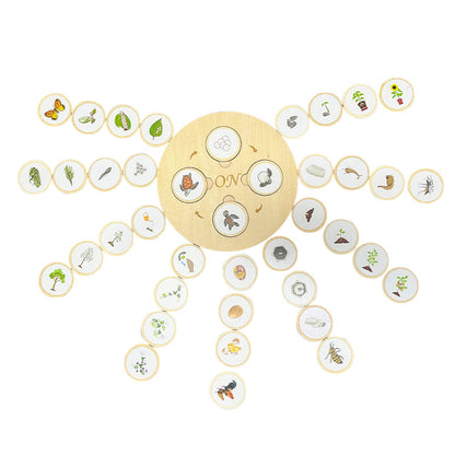 Children'S Cognitive Enlightenment Insect Animal Life Growth Cycle Educational Toys