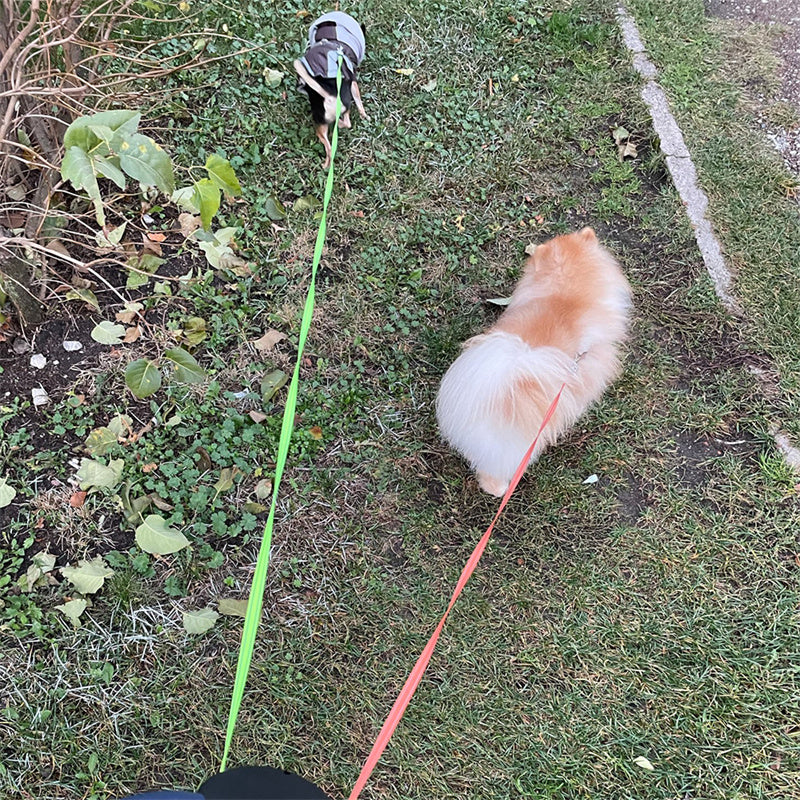 Retractable Reflective Dual Pet Leash Lead with Lights 