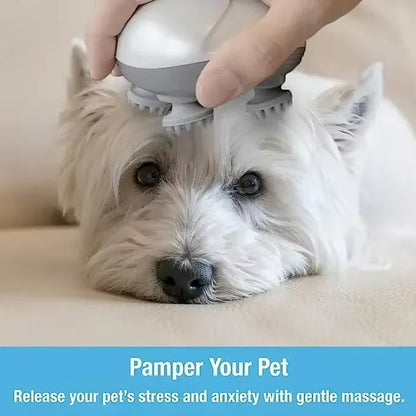 Electric Pet Massage Tool 