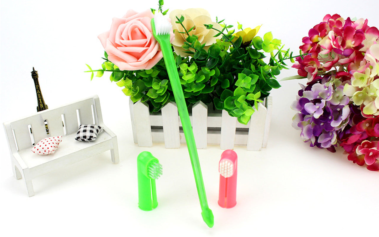 Pet Toothbrush Three-Piece Set, Double-Headed