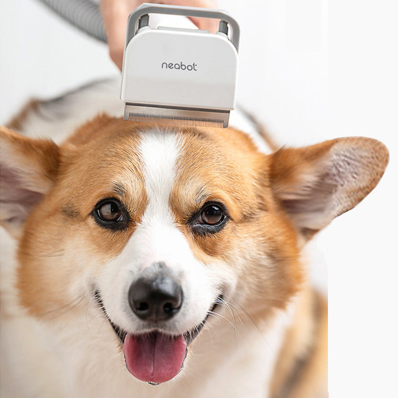 Pet Grooming Device Set 