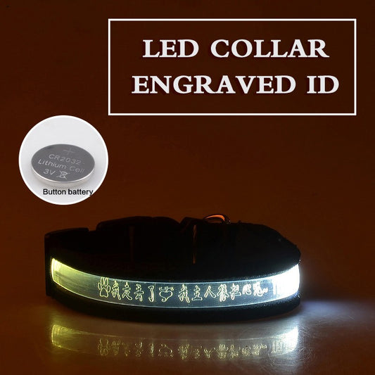 Personalized Pet Glow Collar 