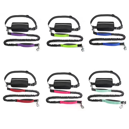  Real Nylon with Reflective Strips Dog Outdoor Training Leash Set