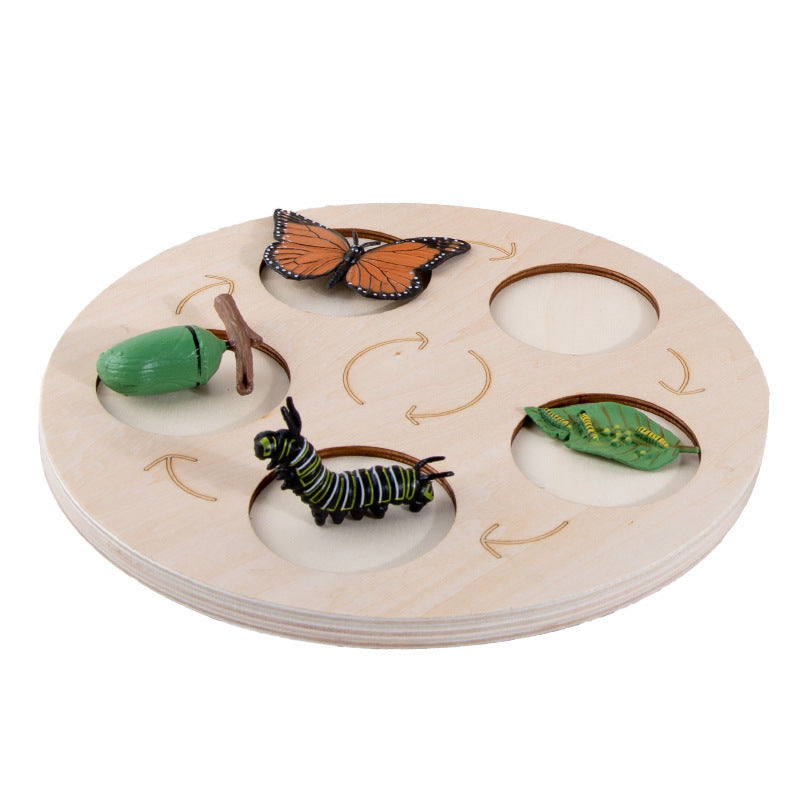 Children'S Cognitive Enlightenment Insect Animal Life Growth Cycle Educational Toys